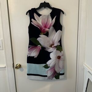 Gorgeous Ted Baker dress